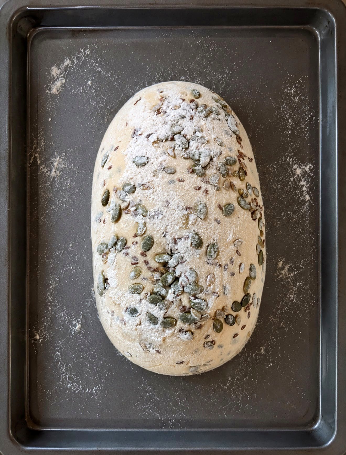 Seeded sourdough dough before baking